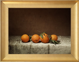 quatre-oranges-du-portugal-sur-un-velours-vert_sdi1506p